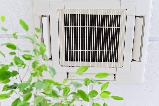 Best Air Duct Cleaning Near Me  in Surfside, FL